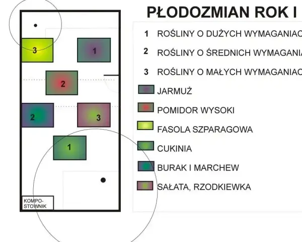 Schemat płodozmianu. Fasolka szparagowa (3) dobrze rośnie obok pomidorów (2) i roślin o małych wymaganiach.