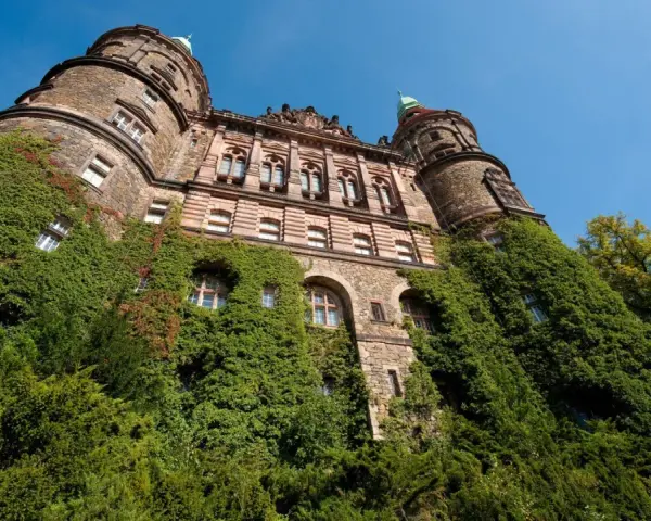 Zamek Książ gdzie zjeść - najlepsze restauracje i ukryte skarby kulinarne