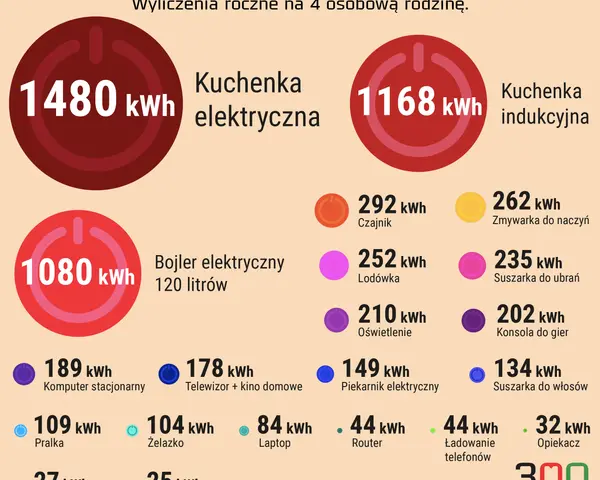 Ile prądu zużywa dom jednorodzinny? Oszacuj i obniż rachunki!
