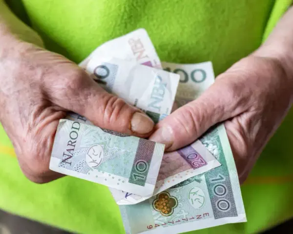 Dłonie trzymają polskie banknoty: 10, 20 i 100 zł. To może być wsparcie z tytułu renta socjalna.