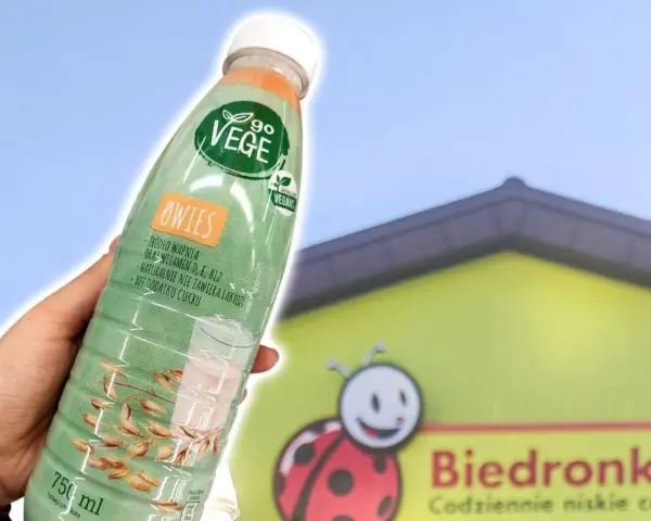 Napój ryżowy Go Vege z Biedronki: Analiza, opinie i czy warto?