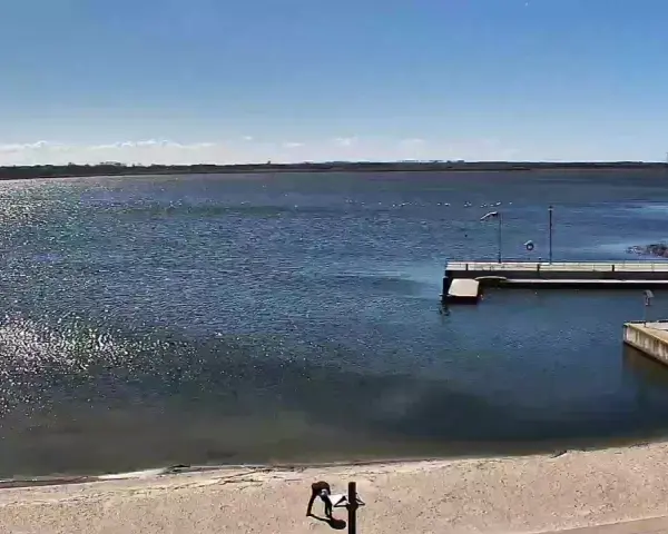 Widok z jeziorsko kamera na żywo. Na piaszczystej plaży dwie osoby, w tle spokojne jezioro, pomost i wiatraki.