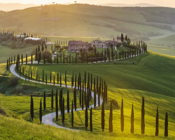 Un suggestivo itinerario Val d'Orcia 3 giorni: cipressi fiancheggiano una strada tortuosa tra dolci colline verdi al tramonto.