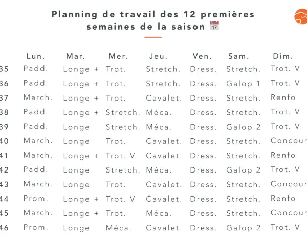 Planning de travail équestre pour 12 semaines, détaillant les activités quotidiennes comme le trot, le galop, le stretching et le dressage.