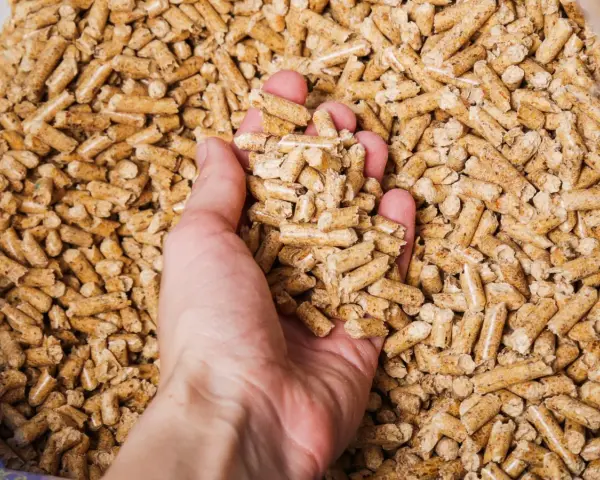 Mano che afferra pellet di legno. Un sacco di pellet di legno ha un peso variabile, ma solitamente si aggira sui 15 kg.