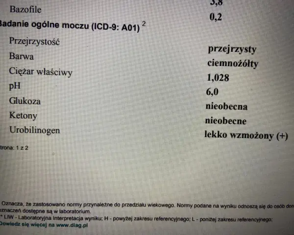 Wynik badania ogólnego moczu: Urobilinogen lekko wzmożony (+).