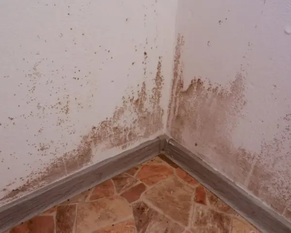 Esquina de pared con manchas de humedad y moho. Se necesita tapar rozas para solucionar el problema.