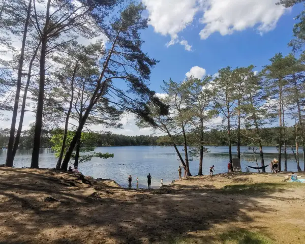Słoneczny dzień nad srebrnym jeziorem. Ludzie kąpią się i odpoczywają na piaszczystej plaży, otoczonej sosnami.
