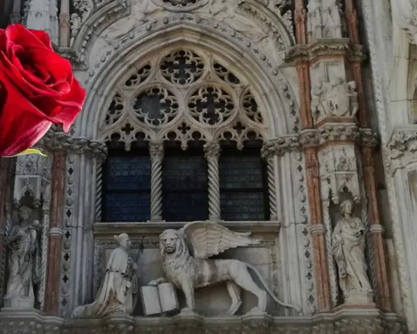 Rosa rossa davanti al Leone alato di San Marco, simbolo di Venezia.