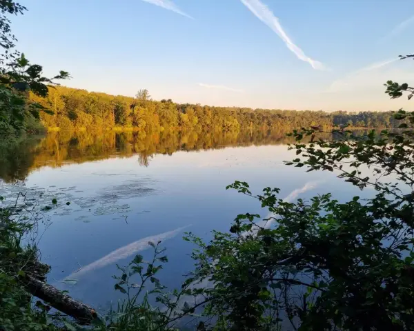 Sonnenuntergang am Liblarer See. Bäume spiegeln sich im ruhigen Wasser, der Himmel ist blau mit weißen Kondensstreifen.
