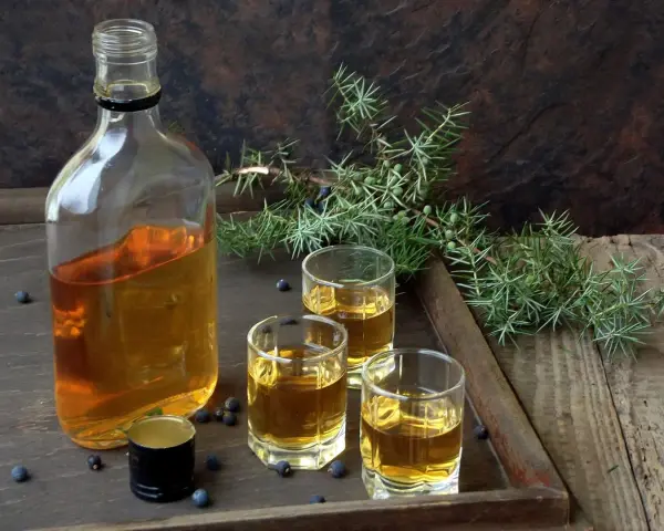 Flasche mit bernsteinfarbenem Gin, drei Gläser und Wacholderzweige. Perfekt für Gin DIY.