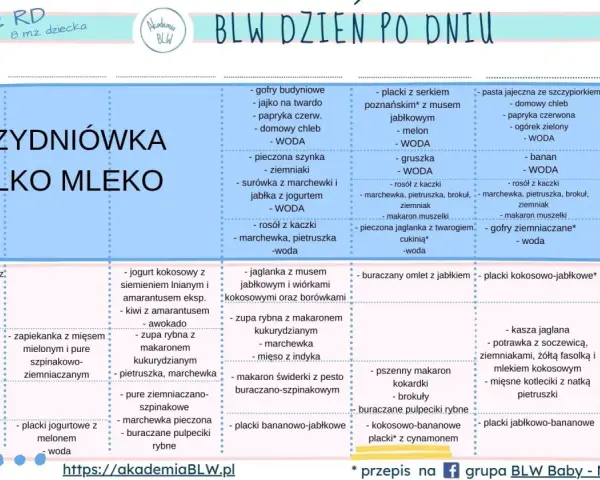 Tabela z propozycjami posiłków dla niemowląt, które stosują metodę BLW. Znajdziesz tu pomysły na śniadania, obiady i kolacje.