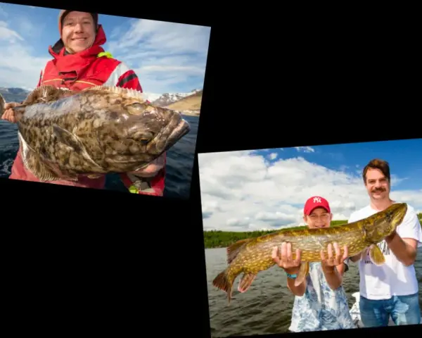 Glückliche Angler mit ihren Fängen. Ein Mann hält einen großen Fisch, während ein Junge und ein Mann einen Hecht präsentieren. Mit dem Echolot Fische erkennen ist hier erfolgreich.