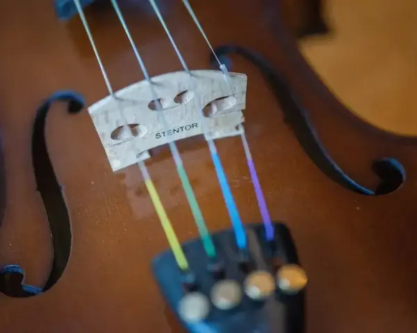 Kolorowe struny skrzypiec, od żółtej do fioletowej, tworzą tęczowy akcent na instrumencie. Nazwy strun w skrzypcach mogą być różne, ale te wyglądają na wyjątkowe.