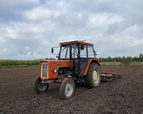 Pomarańczowy Ursus C-360 na polu. Zastanawiasz się, ile oleju do silnika C-360 potrzebujesz? Ten traktor jest gotowy do pracy.