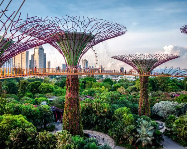 Superdrzewa w Gardens by the Bay, Singapur. To miasto-państwo leży w Azji Południowo-Wschodniej.