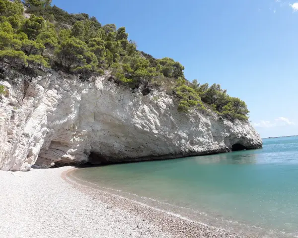 Una spiaggia di ciottoli bianchi si apre su un mare cristallino, incastonata tra imponenti scogliere calcaree ricoperte di pini marittimi. Sembra proprio la baia delle sirene, un luogo incantato.