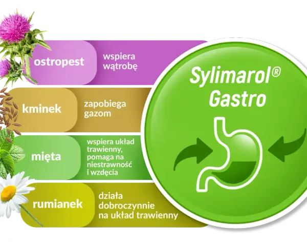 Sylimarol Gastro: ostropest wspiera wątrobę, kminek zapobiega gazom, mięta i rumianek działają dobroczynnie na układ trawienny.