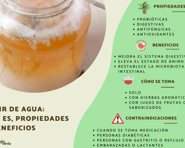 Kéfir de agua en un frasco, ideal para que es bueno el kéfir: mejora digestión, ánimo y microbiota. Propiedades probióticas, digestivas, antifúngicas y antioxidantes.
