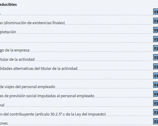 Detalle de gastos deducibles, incluyendo "Otros consumos de explotación" y "Seguridad Social del titular". Se considera cómo aplicar retenciones IRPF estando de baja.