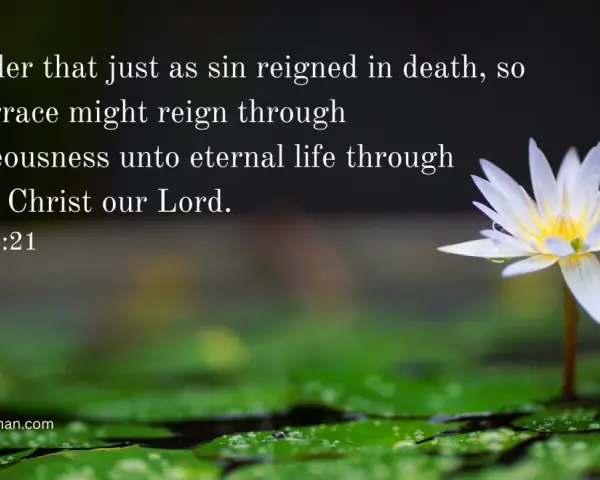A white water lily blooms, symbolizing justification by faith and eternal life through Jesus Christ, as Romans 5:21 states.