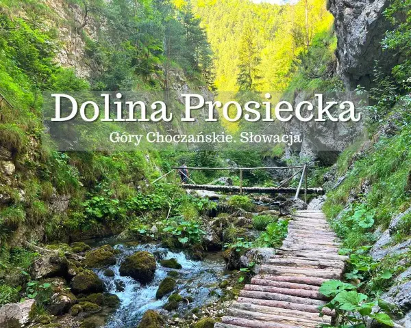 Malownicza Dolina Prosiecka w Górach Choczańskich, na granicy polski i słowacji. Drewniany chodnik wije się wzdłuż potoku.