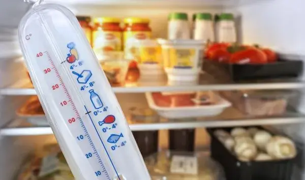 Jaka temperatura w lodówce? Klucz do świeżości i niższych rachunków