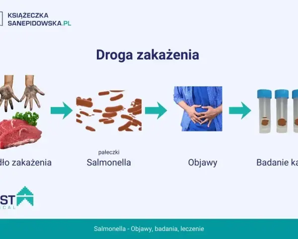 Droga zakażenia salmonellą: od surowego mięsa i brudnych rąk, przez pałeczki Salmonella, objawy bólu brzucha, po badanie kału.