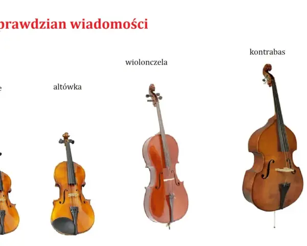 Skrzypce, altówka, wiolonczela i kontrabas – cztery instrumenty smyczkowe, każdy o innym rozmiarze i brzmieniu.