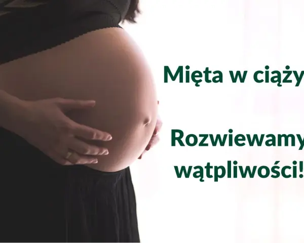 Brzuch kobiety w ciąży, z dłońmi delikatnie go obejmującymi. Obok tekst: "Mięta w ciąży? Rozwiewamy wątpliwości!".