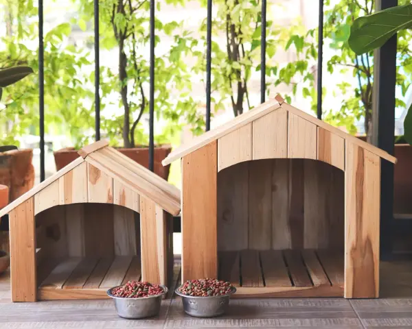 Jak zbudować idealną budę dla psa? Poradnik DIY krok po kroku