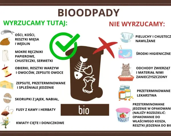 Gdzie wyrzucać resztki jedzenia? Do bio trafiają obierki, resztki warzyw i owoców, fusy, skorupki jaj. Nie wyrzucaj pieluch, środków higienicznych ani odchodów zwierząt.