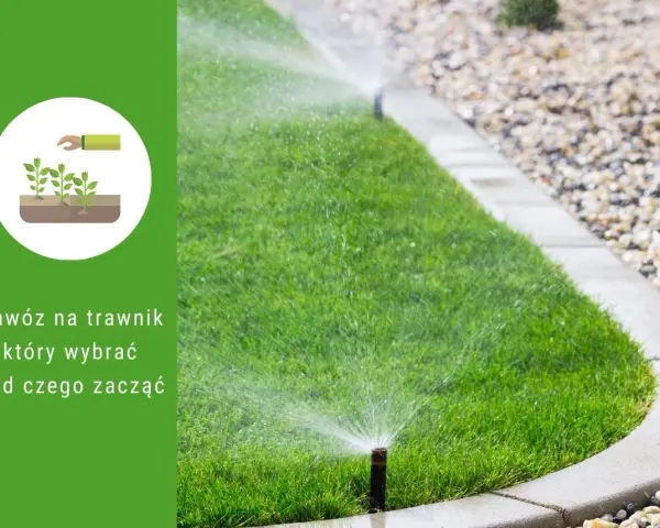 Zraszany trawnik i ikona sadzonek. Jaki nawóz na trawę wybrać, by uzyskać taki efekt?