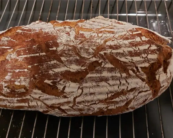 Frisch gebackenes Sauerteigbrot mit knuspriger Kruste auf einem Rost. Perfekt, um Hefe durch Sauerteig zu ersetzen!