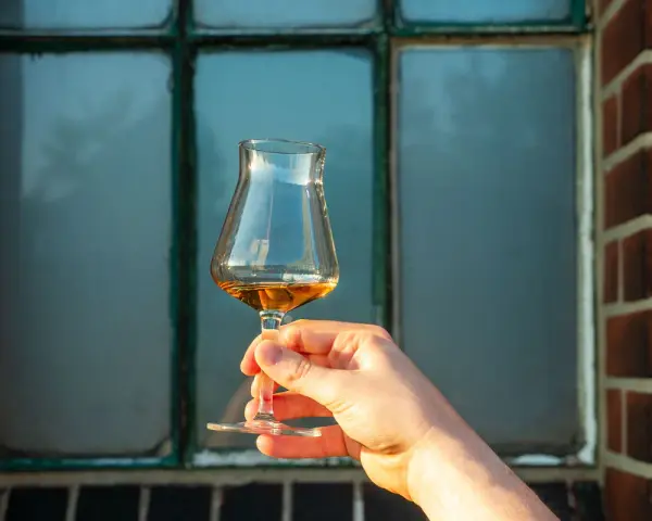 Ein Glas bernsteinfarbener Whisky wird vor einem Fenster gehalten. Der Alkoholgehalt ist bei dieser Verkostung entscheidend.