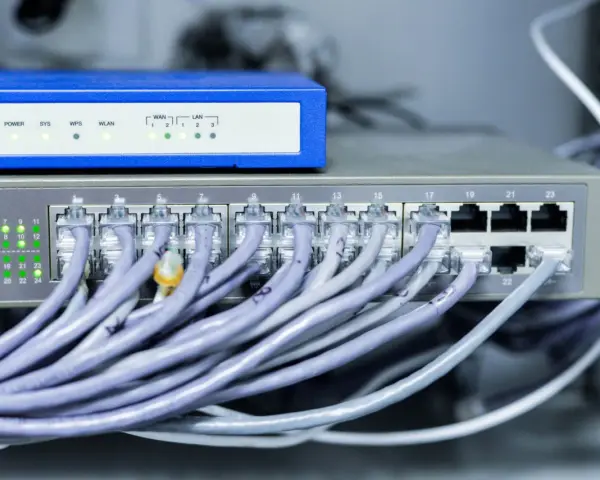 Sieć komputerowa z wieloma kablami Ethernet podłączonymi do switcha. Może to być podstawa do ubiegania się o rekompensatę za światłowód.