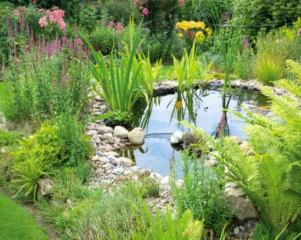 Ein idyllischer kleiner gartenteich ideen mit üppiger Bepflanzung, bunten Blumen und Fischen.