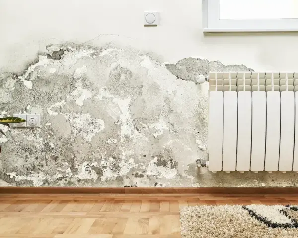 Grzyb na ścianie poczatek. Wilgoć niszczy tynk obok białego grzejnika i gniazdka elektrycznego.
