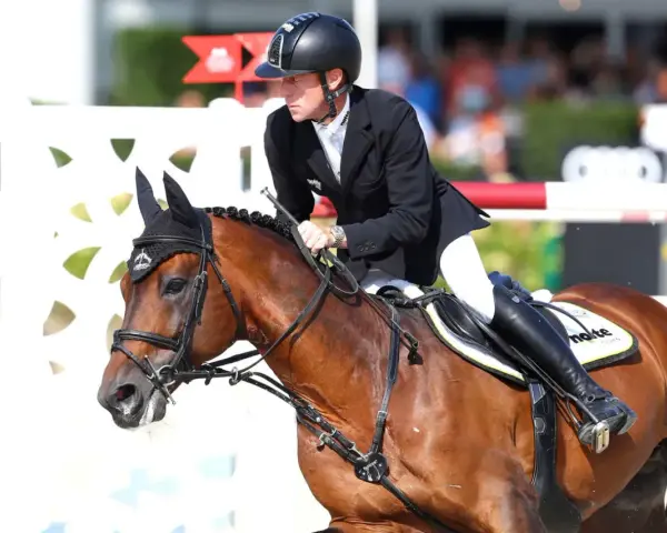 Cavalier en tenue d'équitation, sur un cheval bai, en plein saut. Le cheval, nommé Ratina Z, est concentré.