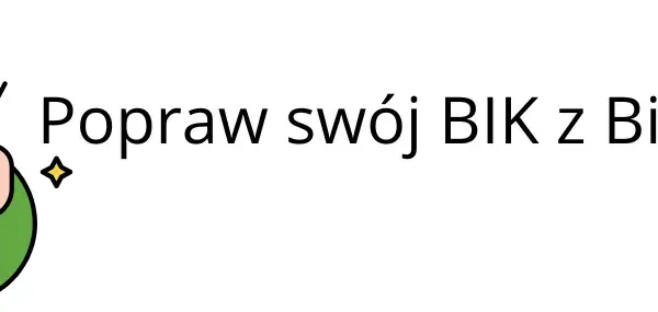 Twój BIK: Jak sprawdzić, zrozumieć i poprawić historię kredytową?