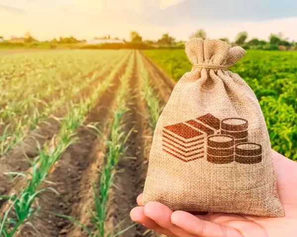 Bolsa de dinero en mano sobre campo de cultivo. Ideal para cotizar régimen agrario sin trabajar y planificar tu futuro.