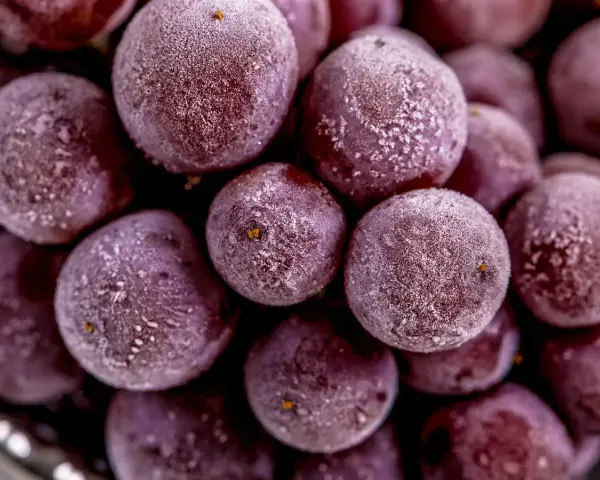 Gefrorene rote Weintrauben mit Eiskristallen, bereit zum Einfrieren für erfrischende Snacks.