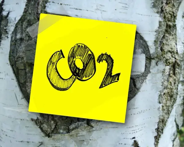 Żółta kartka z napisem CO2 przyklejona do kory brzozy. Symbolizuje wpływ emisji na zmiany klimatyczne.