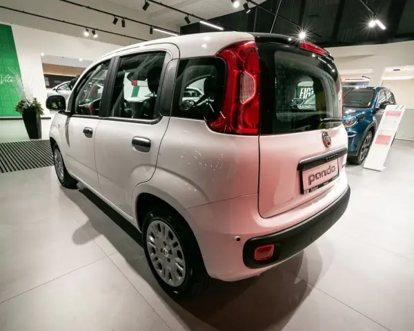 Biały Fiat Panda stoi w salonie samochodowym obok niebieskiego Fiata.
