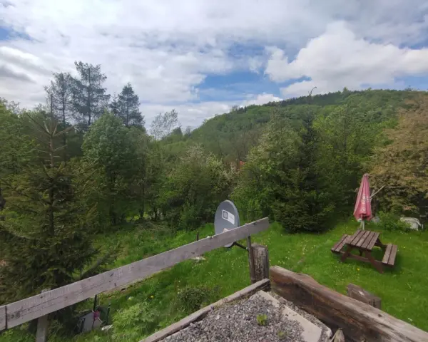 Zielona, szwajcarska dolina z lasem, drewnianym stołem piknikowym i parasolem.