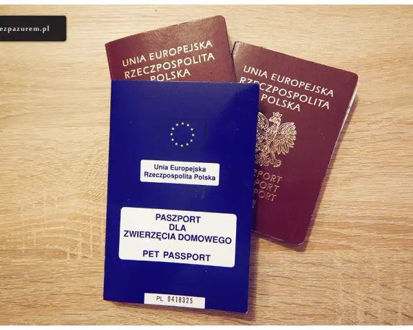 Czarnogóra: Dowód wystarczy, ale jest haczyk! Kiedy paszport?