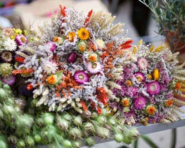 Bunte Sträuße mit getrockneten Blumen und Gräsern, die an einen Sommer voller blumen trocknen erinnern.