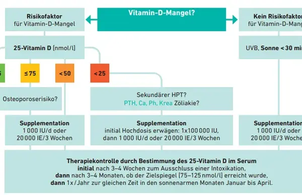 Dekristol bei Osteoporose auf Kassenrezept: Voraussetzungen und Tipps