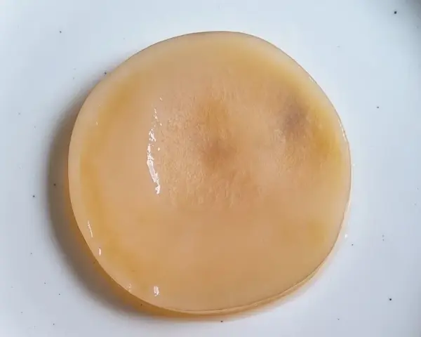 Disque de kombucha moisi, d'une couleur beige pâle, posé sur une assiette blanche.