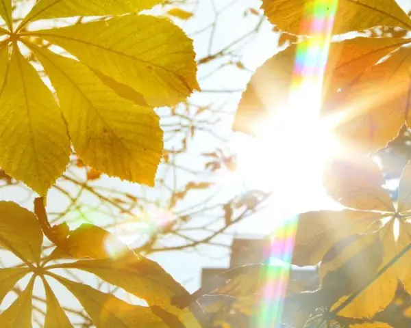 Vitamin D Sonne: So wichtig ist die richtige Sonnenexposition für Ihre Gesundheit